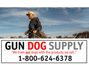 Gun Dog Supply