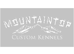 MountainTop logo